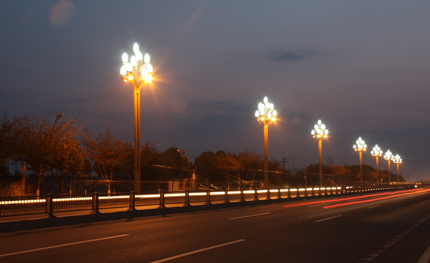 四川双流——“玉兰”灯