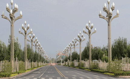 新疆拜城——“玉兰”灯