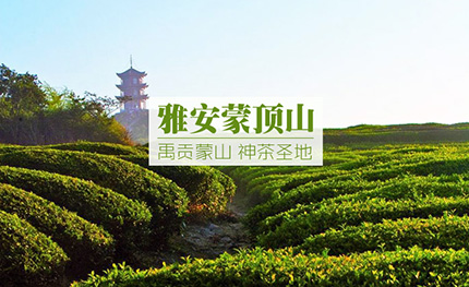 四川雅安名山——“玉兰”灯