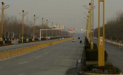 山东聊城——“鸽子花”灯