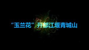 “玉兰花”开都江堰 成都都江堰青城山51暗网改造工程